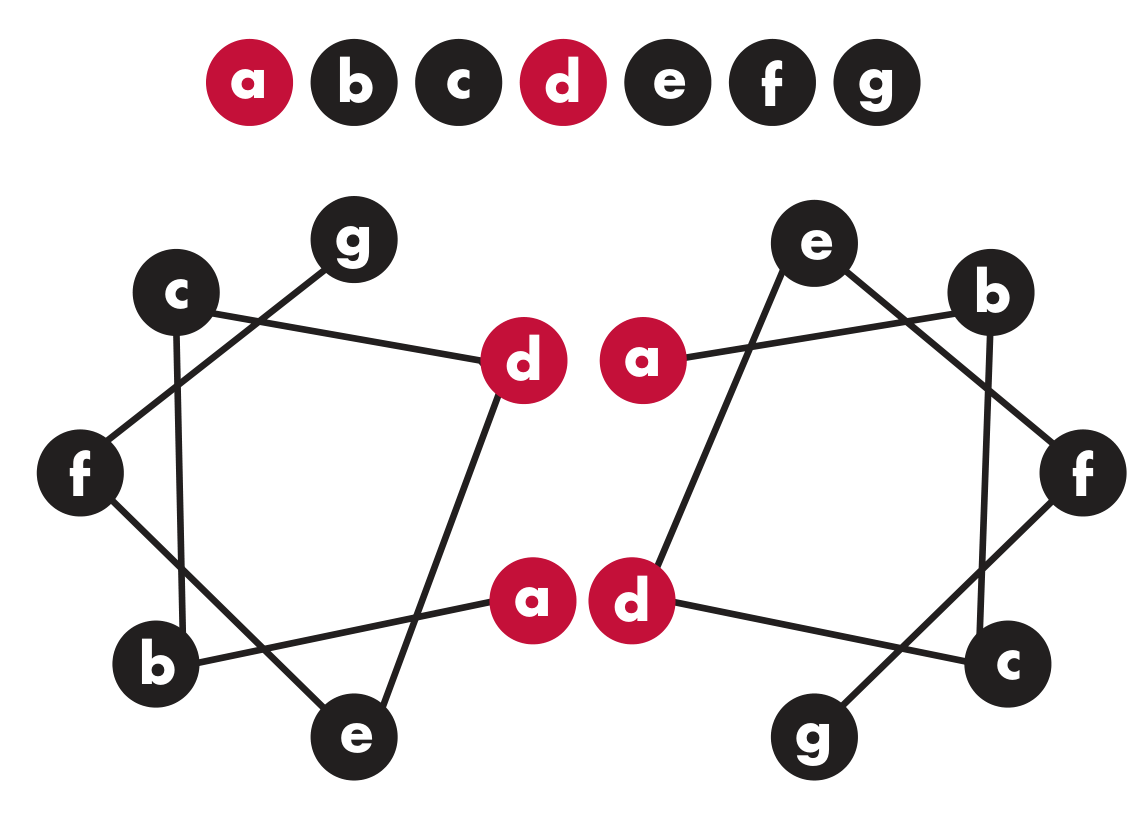 Amino acid chains that make up keratin fibers are sort of star-shaped, with different amino acids represented by letters a through g. Sulfur-containing amino acids "a" and "d" attract each other on different molecules, forming the chains.