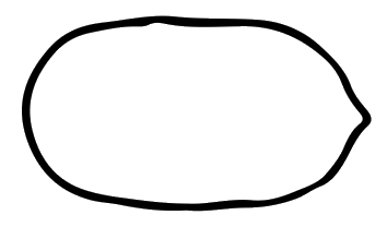Outline of a normal-size, normal-shape pecan nut