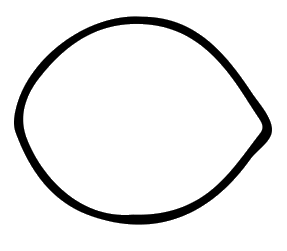 Outline of a smaller, rounded pecan nut