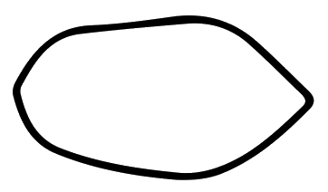 Outline of a slightly smaller pecan nut with an obovate shape, wider toward one end