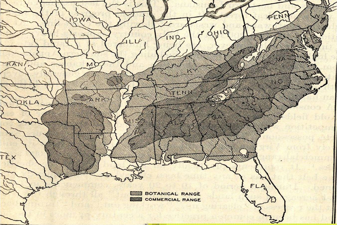 Historical black and white range map of the southeastern United States showing shortleaf pine's botanical range as a large cross-hatched area and its commercial range as a smaller darker area within it, spanning from southern New York and Pennsylvania to eastern Texas and north Florida.
