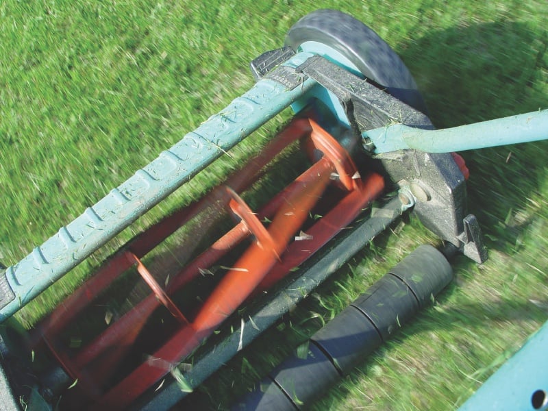 A reel mower’s cutting blades covered in fresh grass clippings on a lawn.