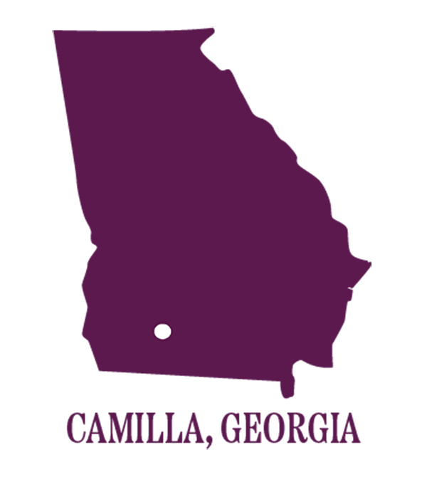Simple map of Georgia showing location of Camilla