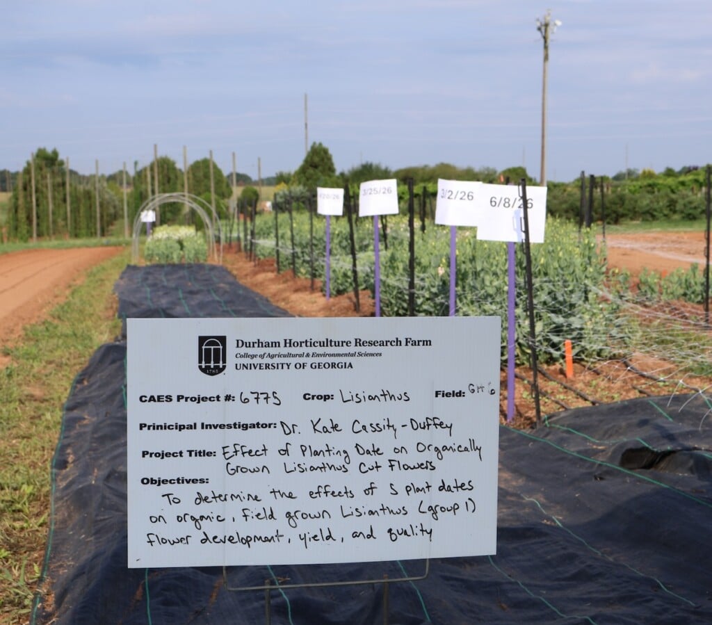 Cut flower field trials with signage at the UGA Durham Horticulture Farm.