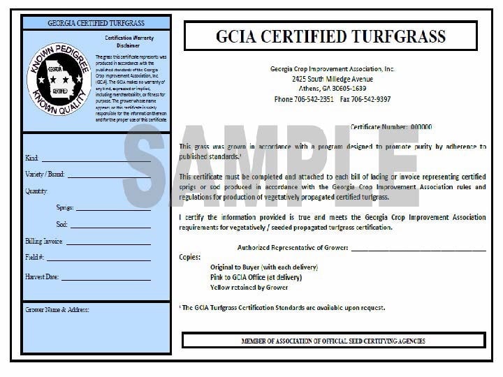 Sample GCIA Certified Turfgrass certificate marked SAMPLE, with the Known Pedigree Known Quality seal, a warranty disclaimer, and blank fields for kind, variety, quantity of sprigs or sod, billing invoice, field number, harvest date, grower name and address, and certificate number.