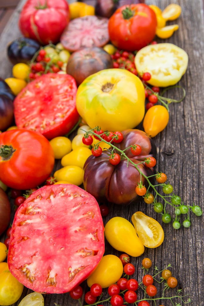 トマトの風味低下の遺伝的起源を解明、新たな改良経路を特定（Study traces genetic roots of tomato flavor loss, identifies new pathway for improvement）