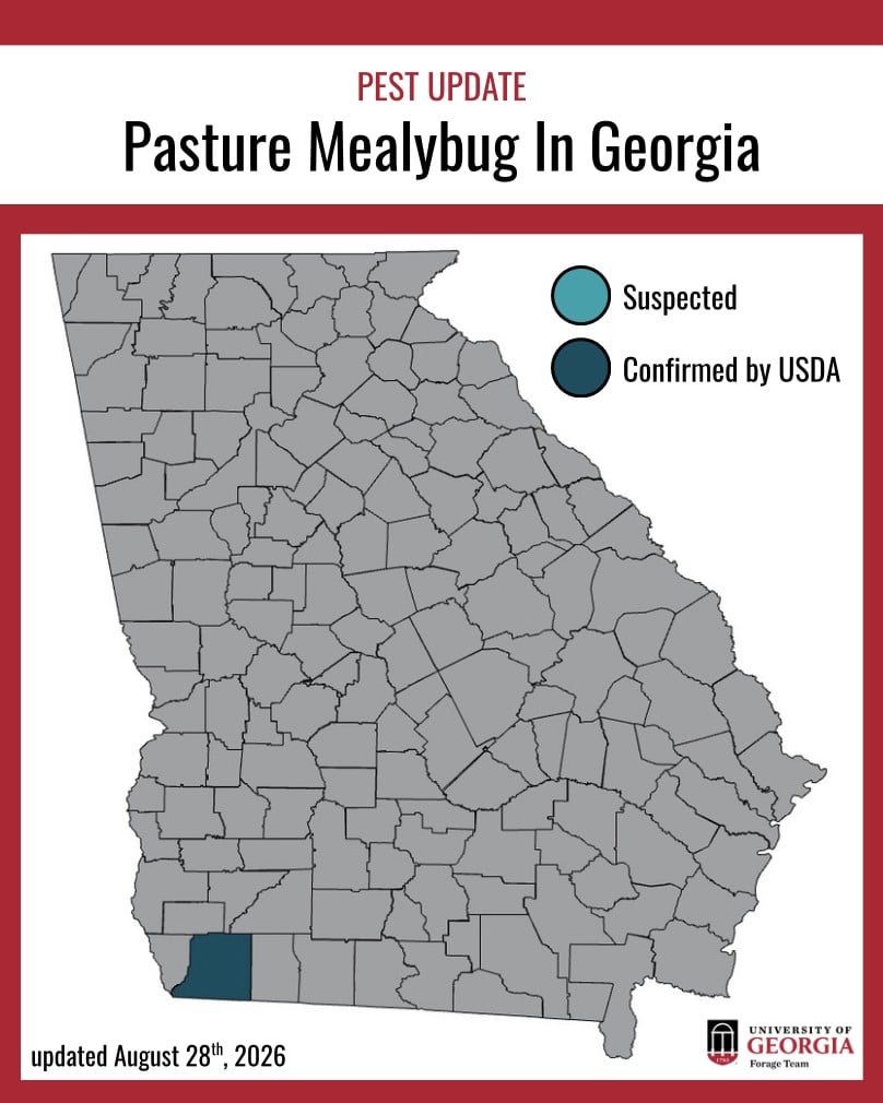 Distribution map of pasture mealybug in Georgia, with Decatur County highlighted as confirmed by USDA, last updated Aug. 28, 2026