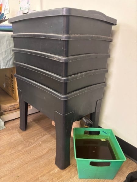 A series of stacking plastic tubs on a finished wooden floor. A drainage bin filled with dark liquid can be seen at its base.