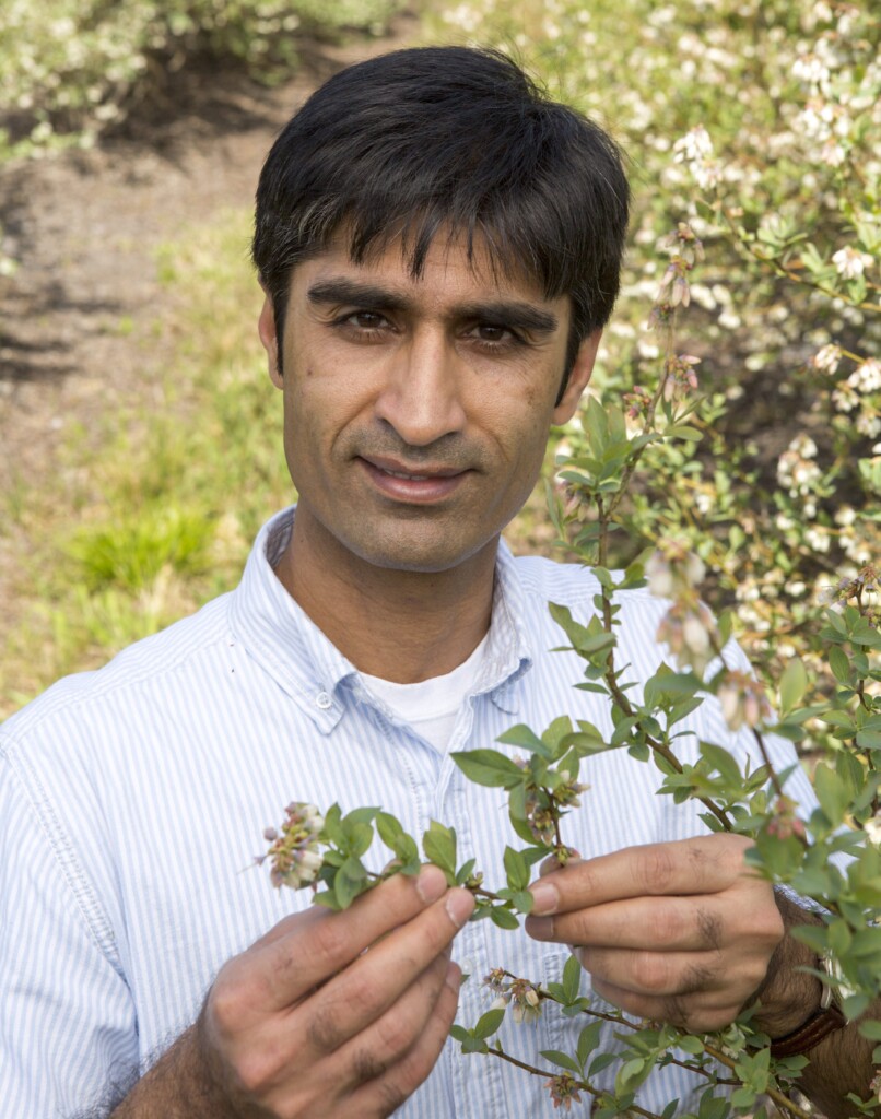 A man with dark hair poses holding the branch of a bush.