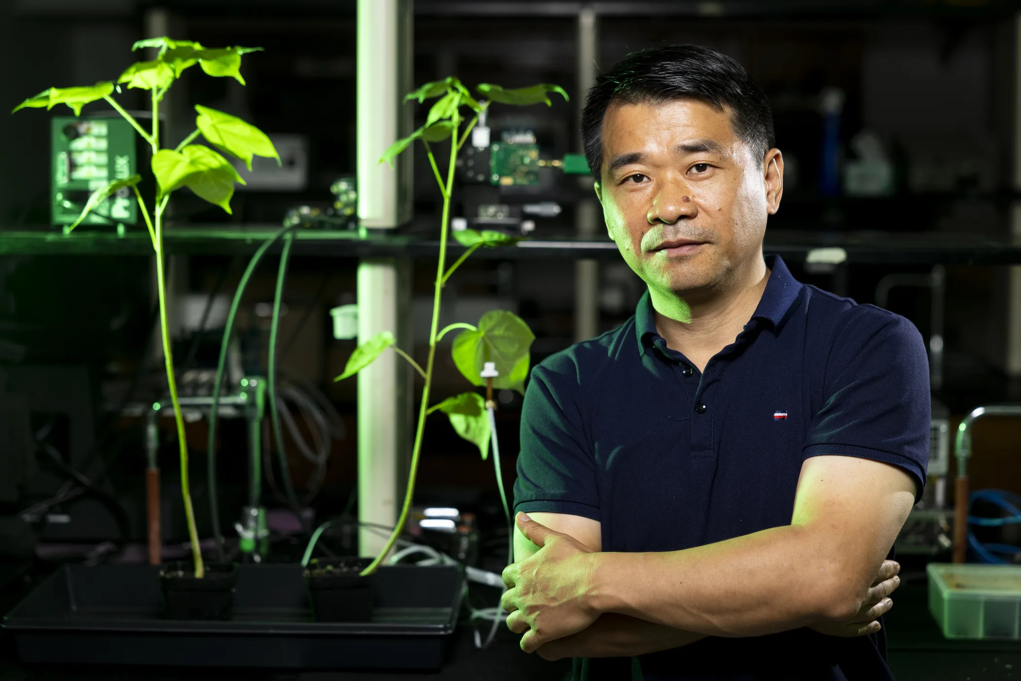 A researcher standing near a young plant in a laboratory with illuminated plant-growth equipment.