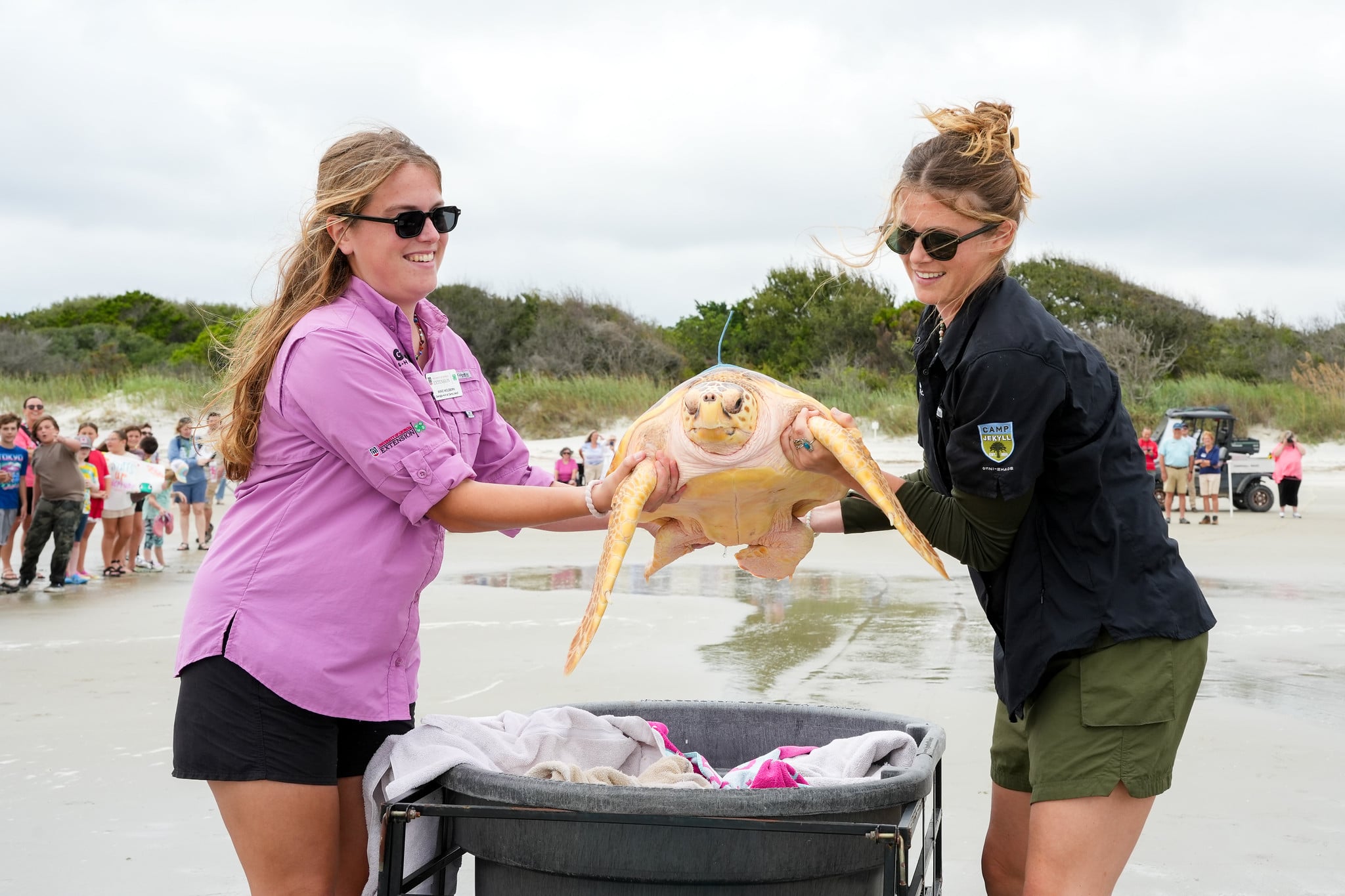 Two Georgia 4-H faculty hold sea turtle Neptune on the beach while a crowd watches in the background before its release back into the Atlantic Ocean.