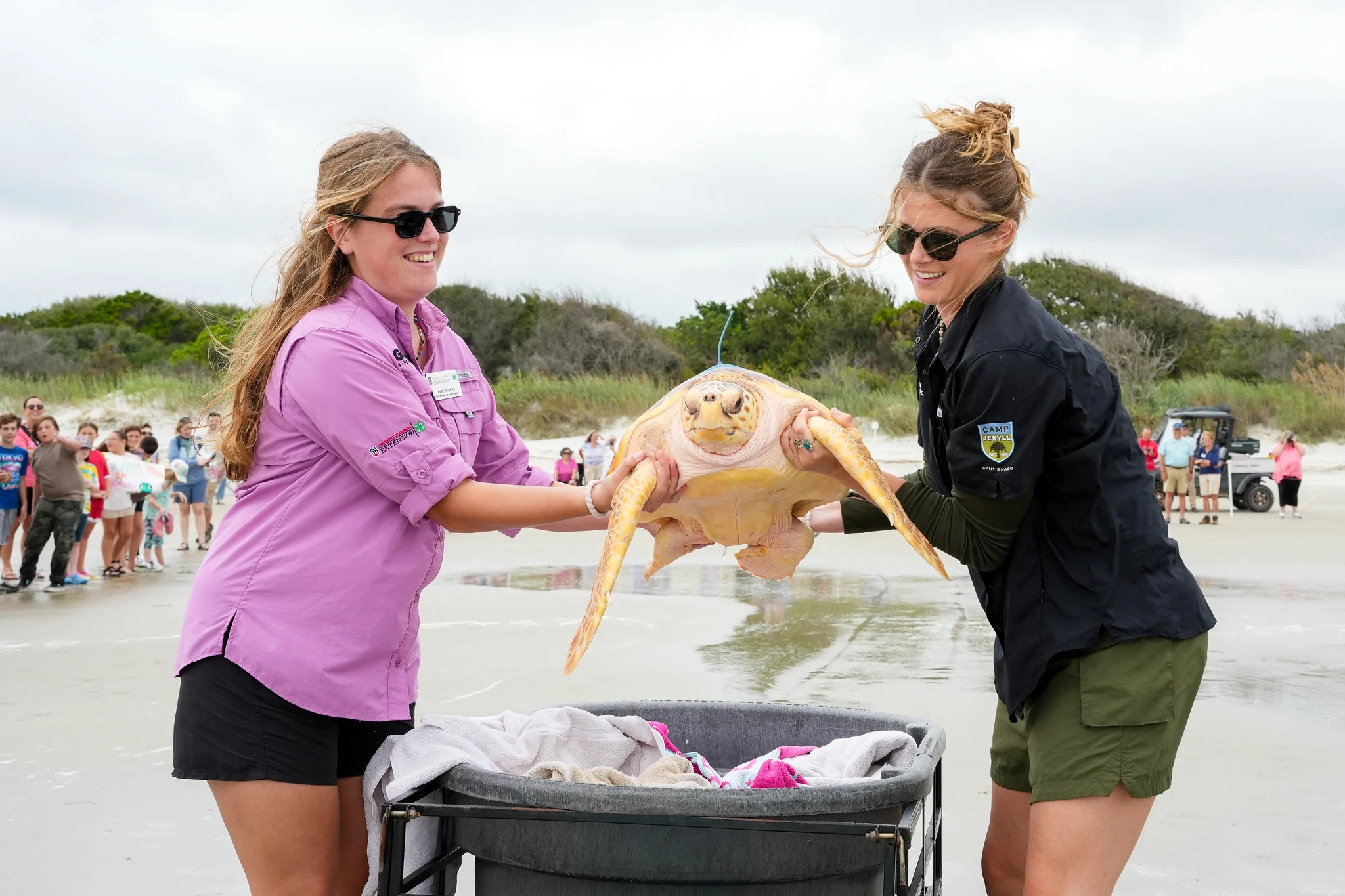 Two Georgia 4-H faculty hold sea turtle Neptune on the beach while a crowd watches in the background before its release back into the Atlantic Ocean.