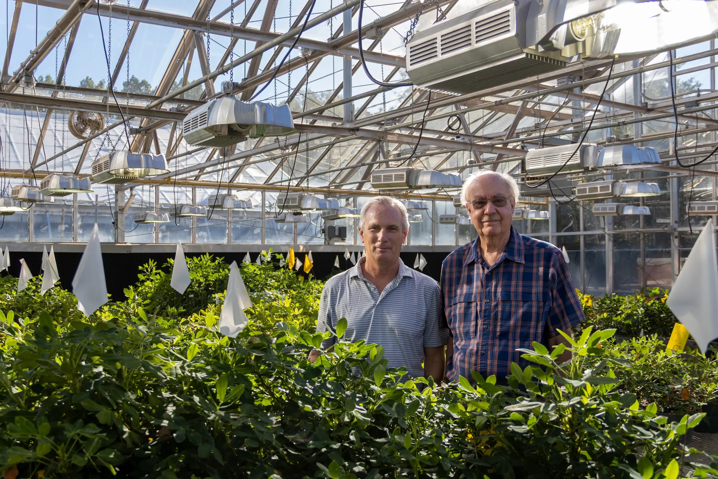 Two individuals stand among lush green plants inside a greenhouse equipped with overhead lighting and ventilation systems.