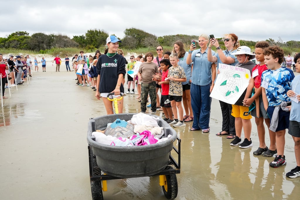Children and adults gather on Jekyll Island's Glory Beach to cheer on loggerhead sea turtle Neptune, resting in a transport wagon, before the turtle's release into the Atlantic Ocean.