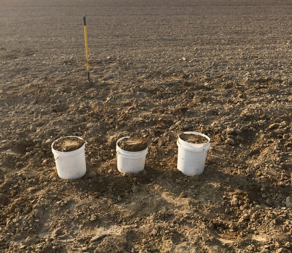 three white 5-gallon buckets are filled with soil during testing in a prepared field